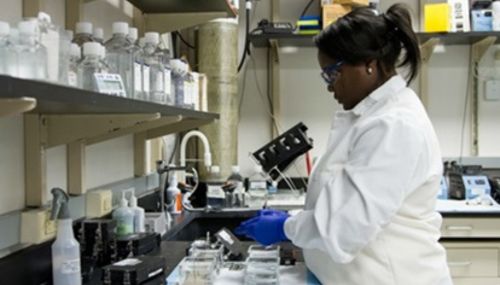 Researcher working in the lab