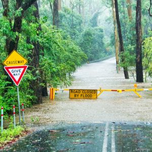 Flooded road with sign reading road closed due to flood.